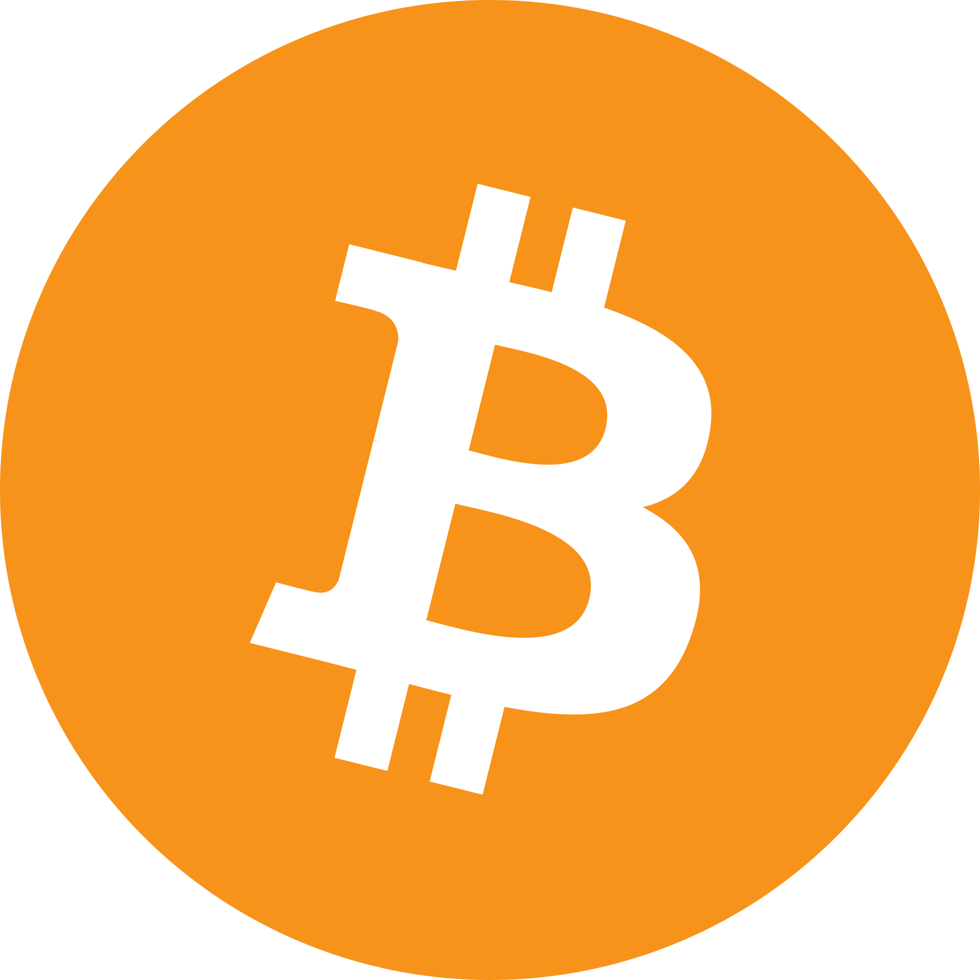 Bitcoin icon